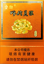 云烟（呼伦贝尔天之韵）